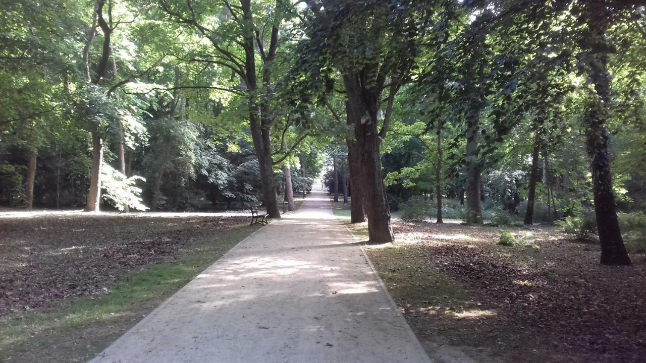קולובז'ג Apartament Sloneczny Wylotowa מראה חיצוני תמונה